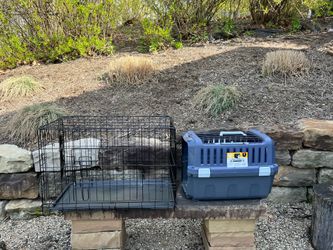 Dog crate and carrier for up to a 30 lb dog.