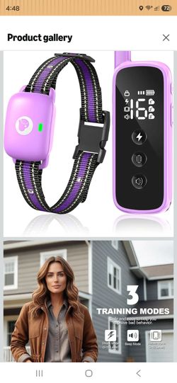 Dog Shock Collar