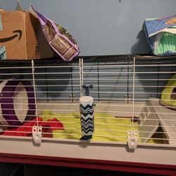Xl rabbit/small animal house