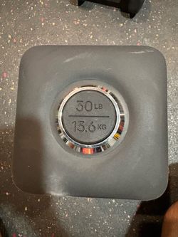 30lbs Peloton dumbbell  pair