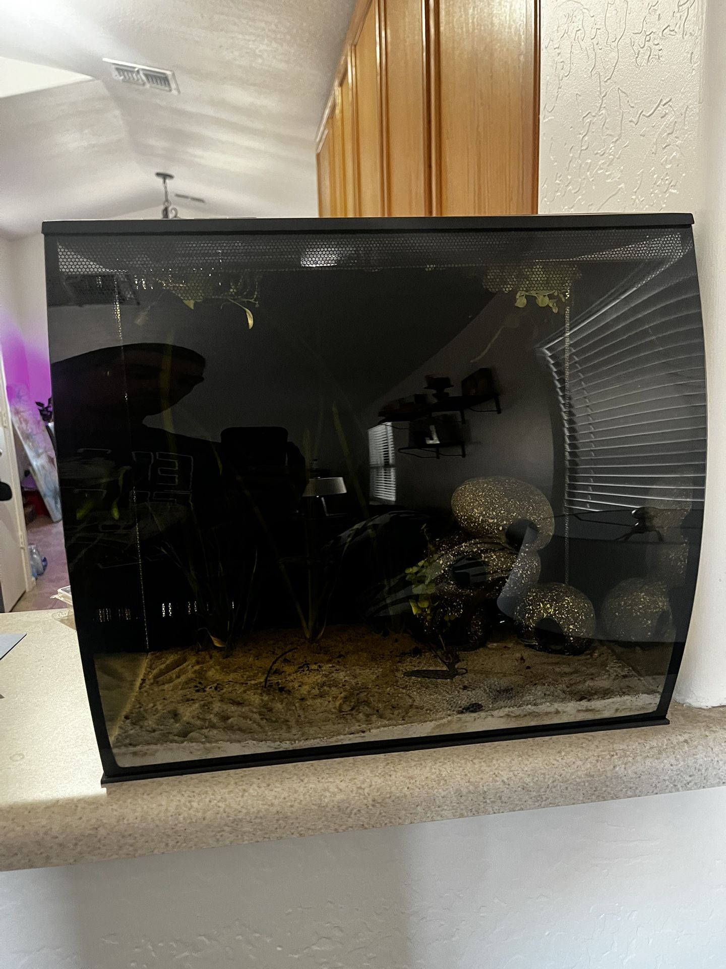 Fluval Flex 15 AIO Fish Tank
