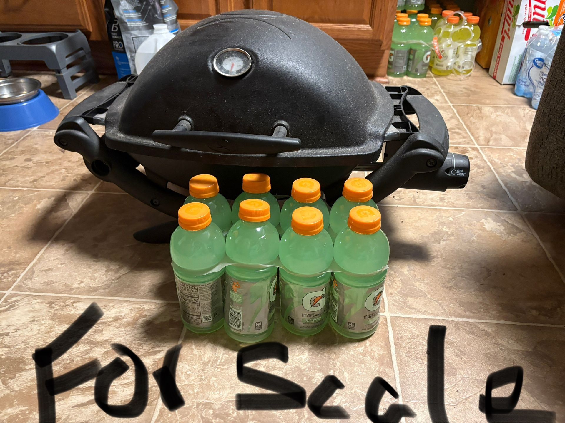 Weber Propane Portable Grill