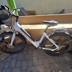 Concord e-bike