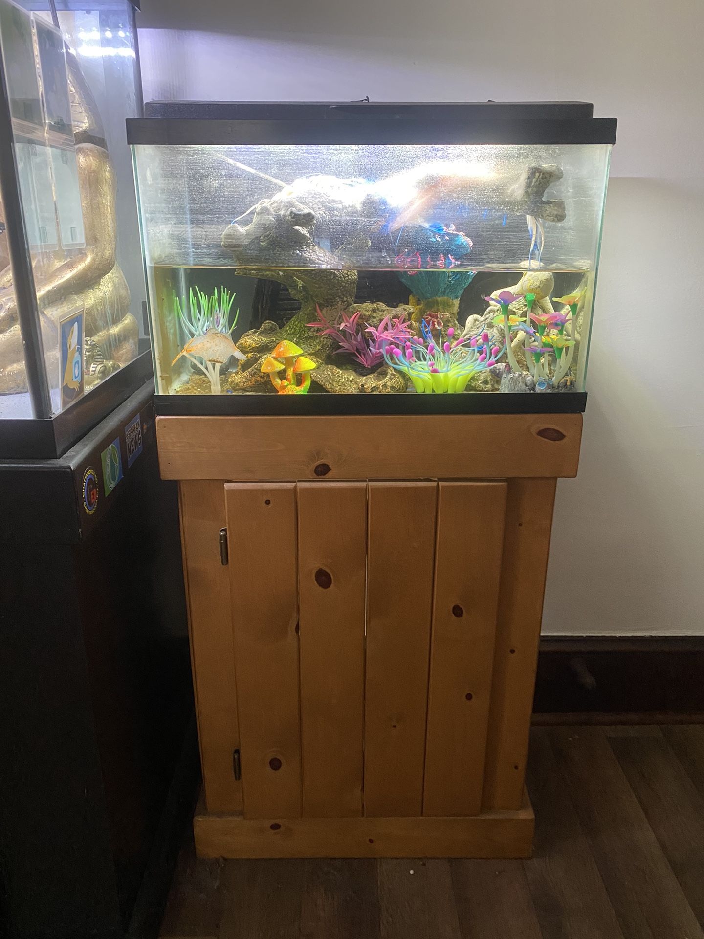 10 Gallon Fish Tank With Stand , Filter , Light , And Decorations