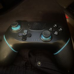 Nintendo Switch Controller