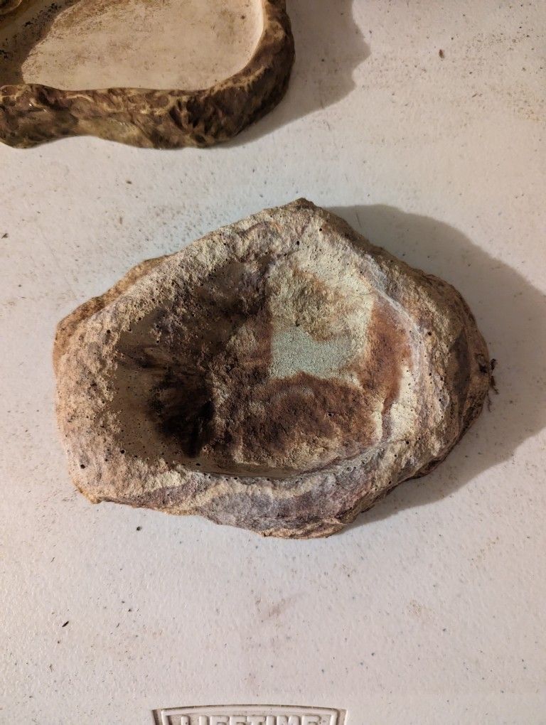 Reptile Feeding Dishes