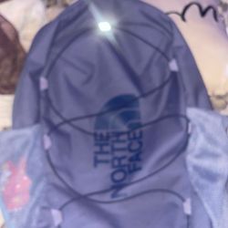 Blue North Face 
