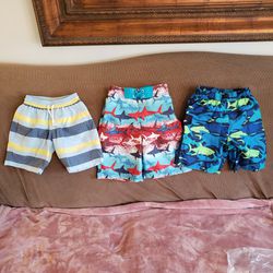 Boys Swim trunks, boys Swim Shorts, Boys Swim Wear Size 4, 5, 6