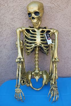 NEW 60" MULTI POSE LIFE SIZE HALLOWEEN SKELETON GOLD