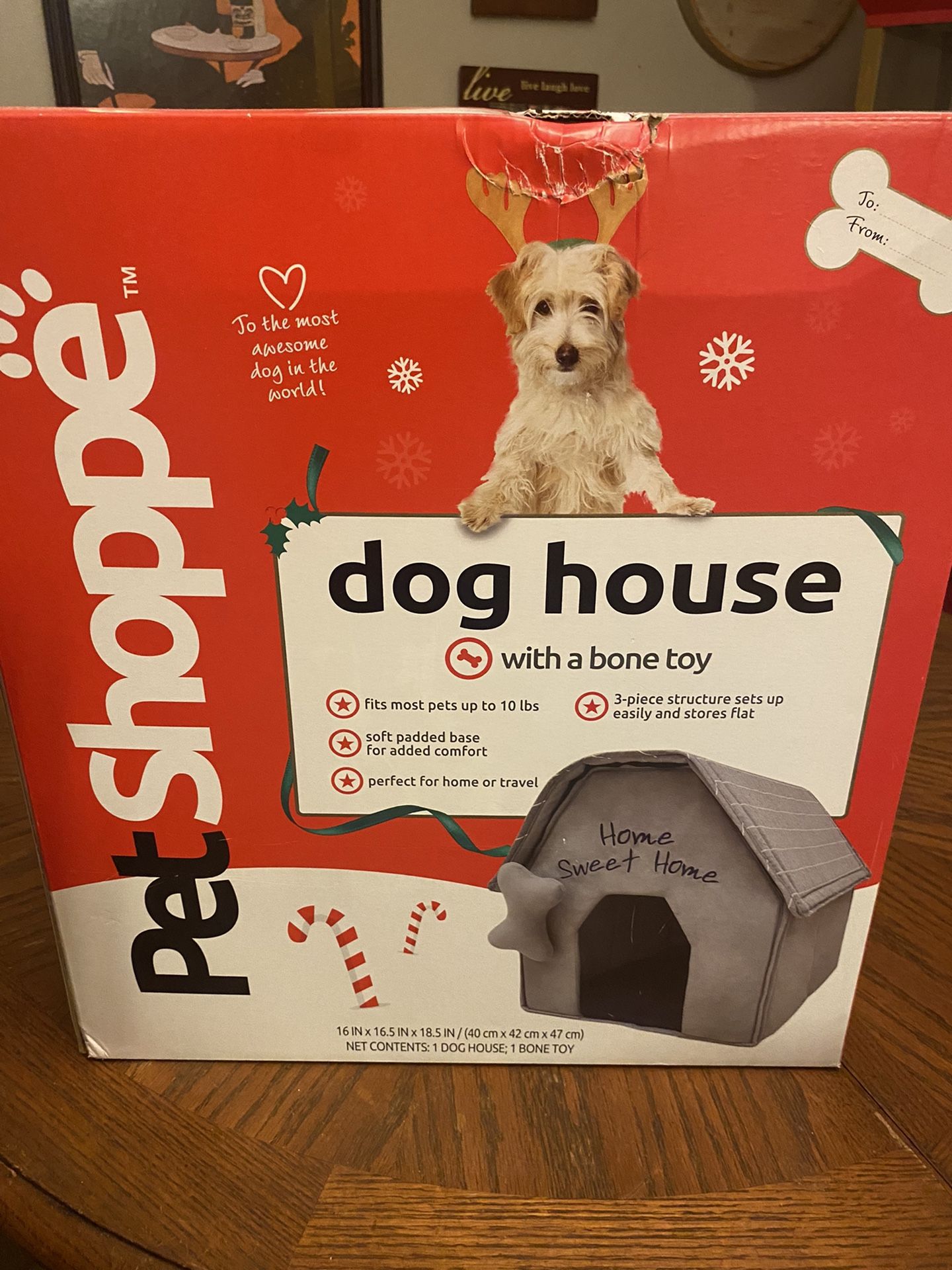 Dog House