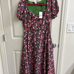Alexia Admit Dress From Nordstrom Rack  Green lining (Brand new )