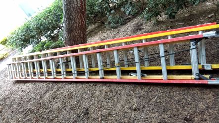 Werner Extension Ladder