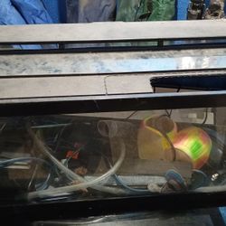 Aquarium With Accessories 