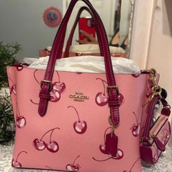 Coach Mollie Tote Bag 25 With Cherry Print 