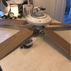 Free Fan With Lights,