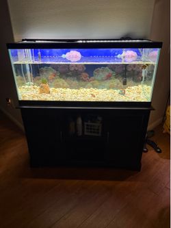 Fish Tank