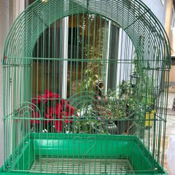 Bird Cage 
