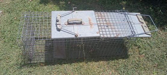 Animal trap