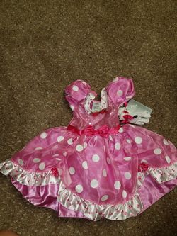 Minnie Mouse Costume