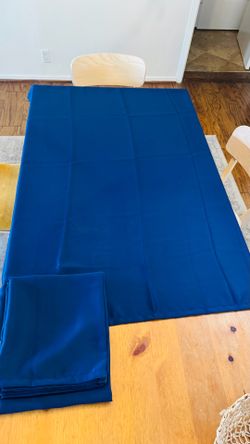 Blue Curtains 42” x 54”