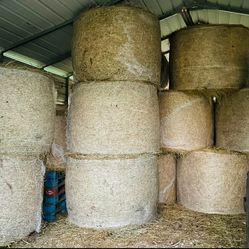 Hay Bales
