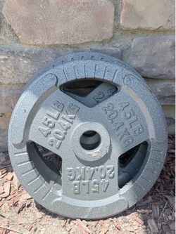 45LB weight bar plate