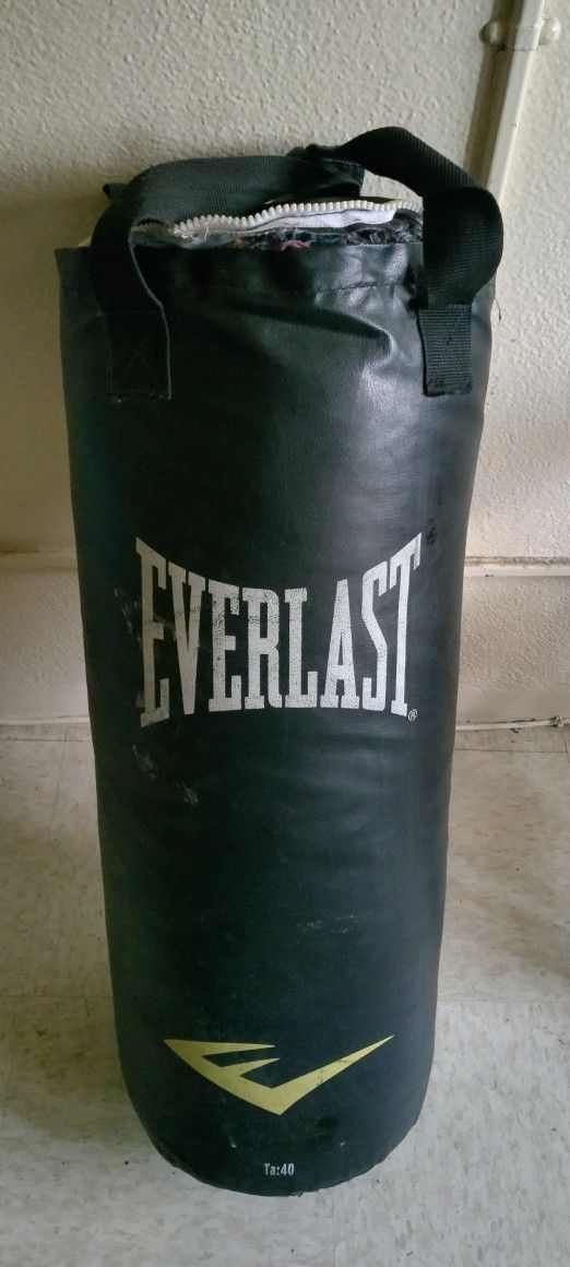 Everlast Punching Bag