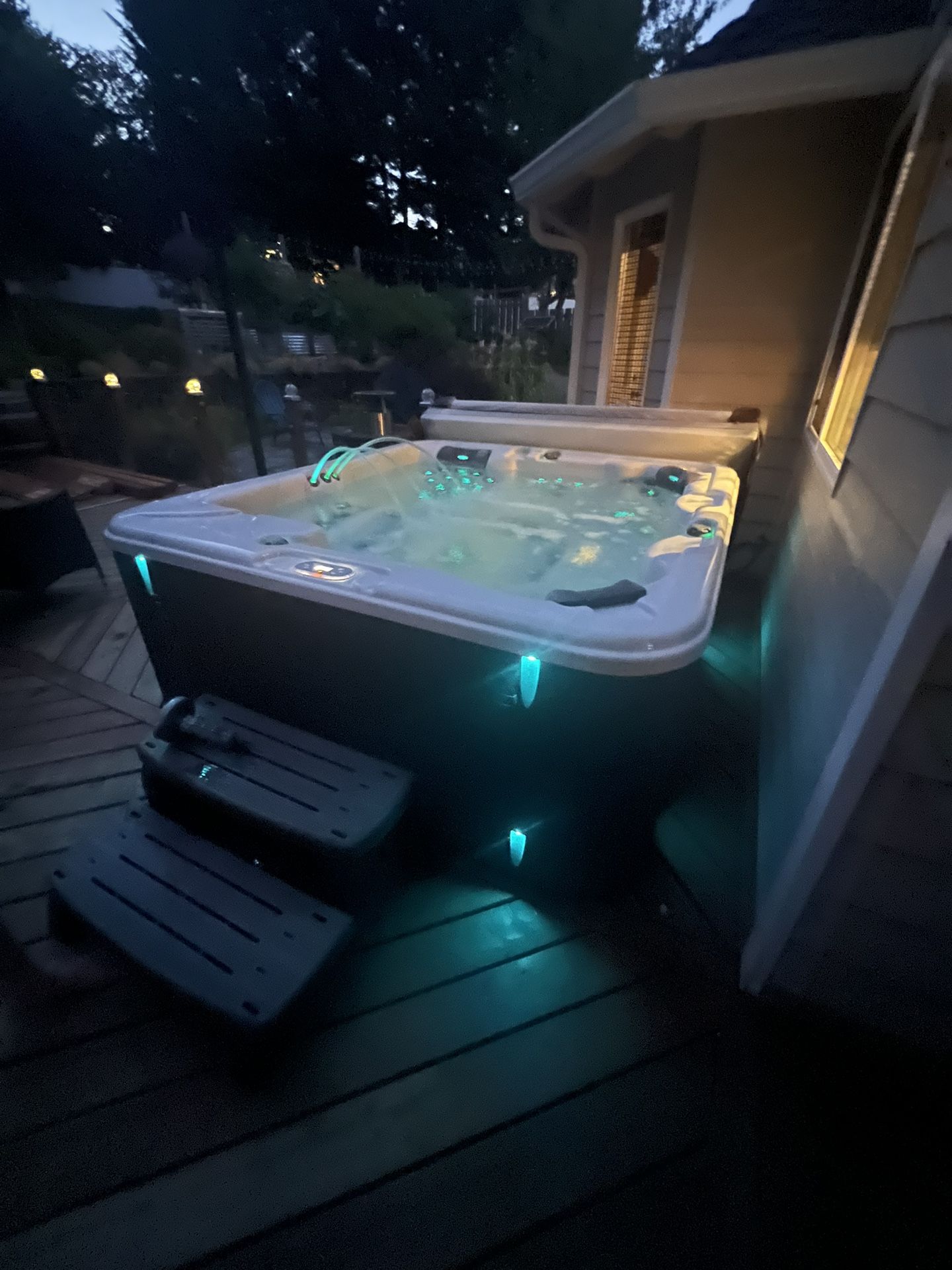 Hot Tub - Divine (purchased at Costco)