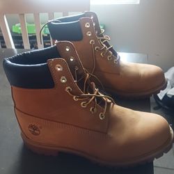 Tims