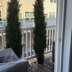Faux Evergreen Plants
