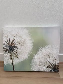 16x20” canvas art