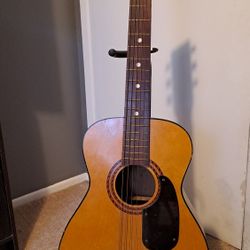 Silverstone 1960 vintage acoustic 