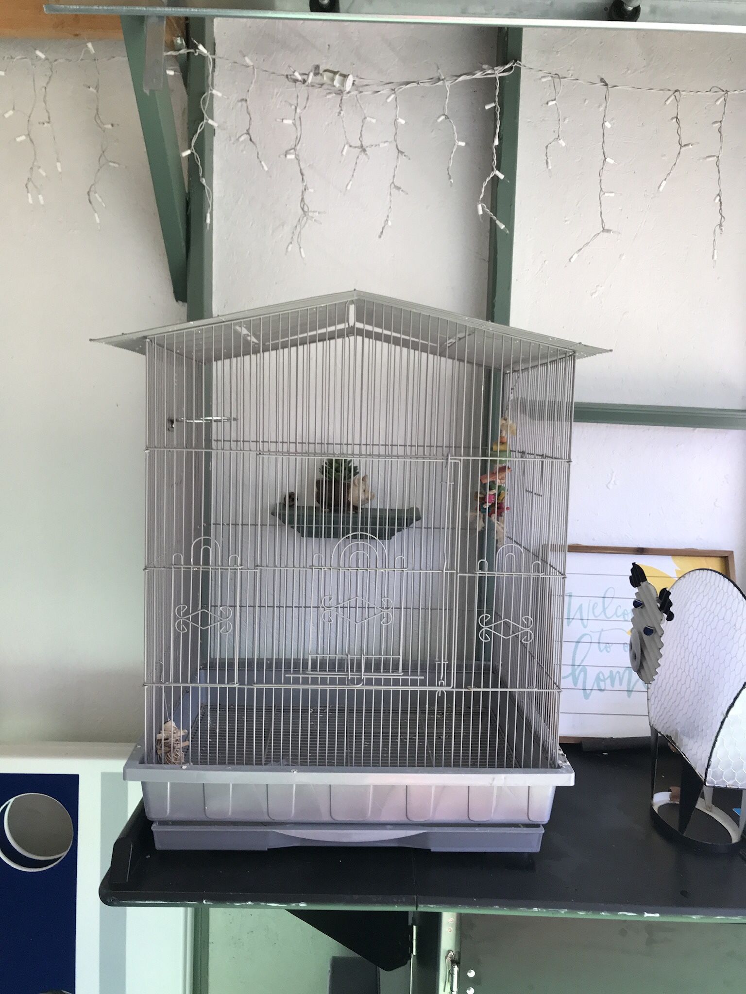 Large Bird Cage