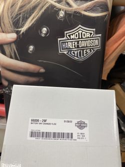 Original Harley Davidson 6v Battery