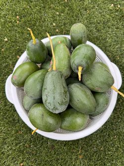 Organic avocados 🥑 two for $1