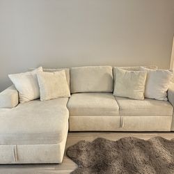 Couch With Storage 