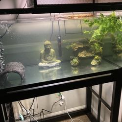 40gallon Fish Tank With Stand And Top Included