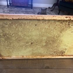 20-25 Used Bee Frames Langstroth