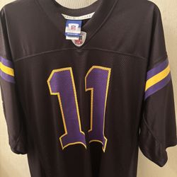 Vikings Jersey (Culpepper)