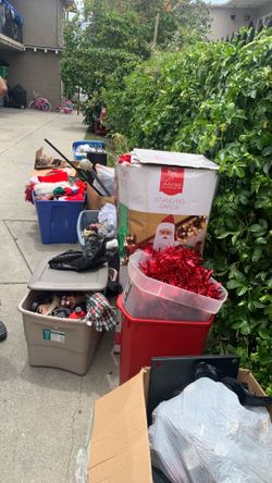 free free in alley