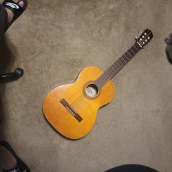 Contessa Guitar