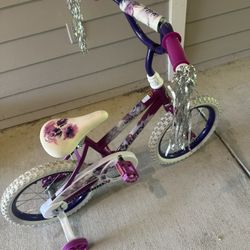 Seastar Huffy Bike