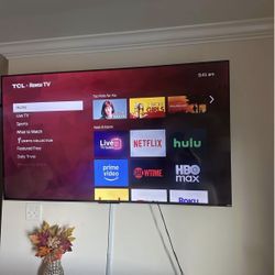 65 Inch Roku Tv 