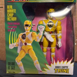 Karate Action Power Ranger 