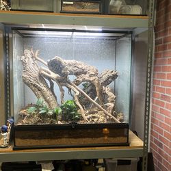 Reptile Cage