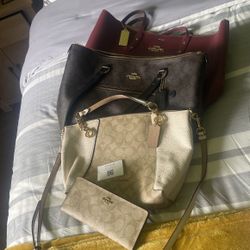Coach Tote Bag $60.00  Mollie Tote Bag With The Wallet $80.00 Michael Kors Brown $160.00 Pink Michael Kors $120.00