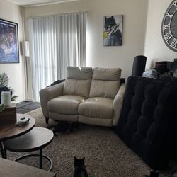 Costco Love Seat Electric Recliner FREE