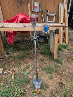Chainsaw and string trimmer
