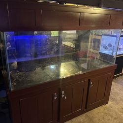 220 Gallon Aquarium