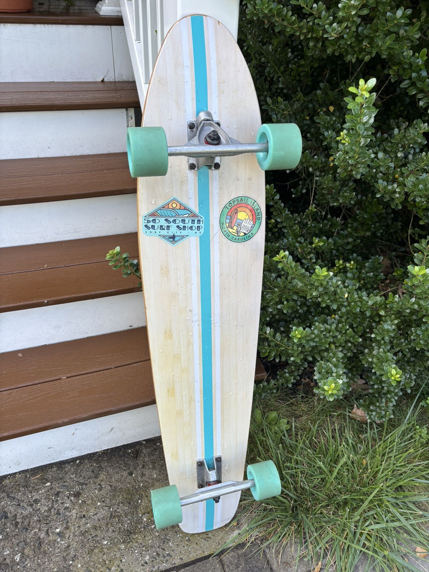 Longboard Skateboard 